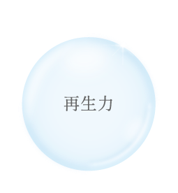 再生力